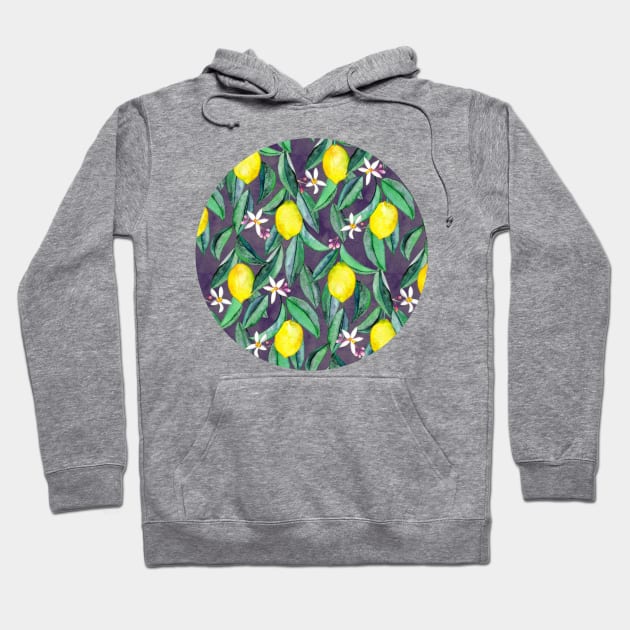 When Life Gives You Lemons - watercolor lemons on grey Hoodie by micklyn